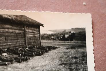 Preview: altes Foto - gefallene Soldaten ?? an Hütte aufgereiht - Russland ?